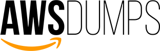 AWS Dumps Logo